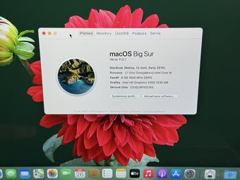 Macbook 12'' 2015 / 8GB / 256GB SSD / Space Gray - DPH - 8
