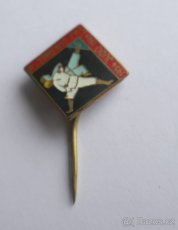 Odznaky Judo, Budo, ČSSR, Švýcarsko, Italy, Holandsko,Polsko - 8