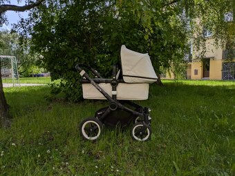 Buffalo Bugaboo - 8