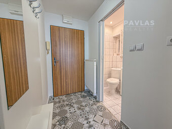 Pronájem bytu 1+1, 52 m² se zahradou a parkováním, ul. Mánes - 8