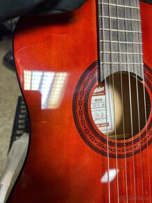 Ukulele konceetni, cestovni / spanelska kytara a dreadnougt - 8