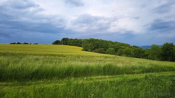 Stavební pozemek 800m2, Netolice okr. Beroun - 8