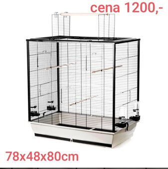 Pyrura zelenolící + klece - 8