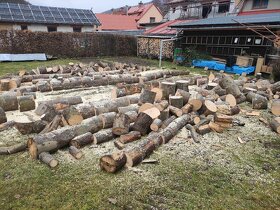 Řezání a štípání dřeva - 8