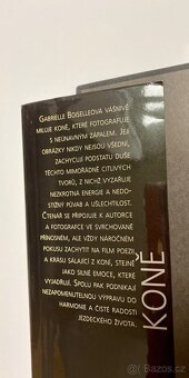 Koně Autor Gabrielle Boiselleová, Agnés Galletierová - 8
