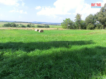 Prodej pozemku, 3885 m², Radenín - 8