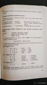 Český ruský jazyk 440 str. - 8