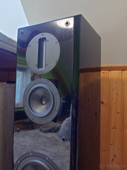 Aurum Cantus M-102HG - 8