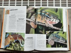 Prodám knihu 1000 DIVŮ PŘÍRODY. - 8