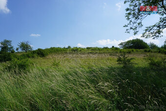 Prodej pozemku k bydlení, 5749 m², Sobětuchy - 8
