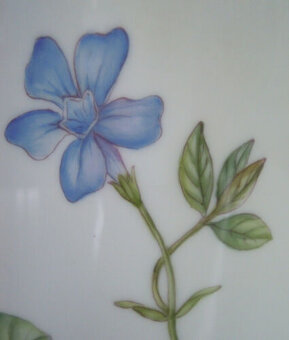 Kávová konvice Royal Copenhagen Flora Danica 0,7 l - 8