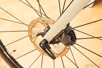 Canyon Endrance M - 8