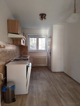 Pronajmu byt 2+1 - 8