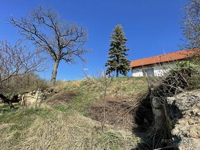 Prodej  vinného sklepa s pozemkem (663 m2)  ve Valticích-čás - 8