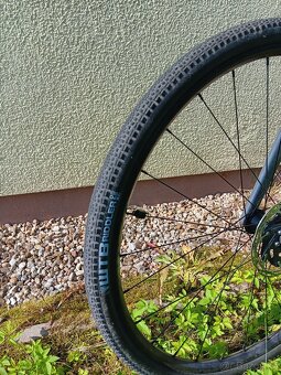 WTB Riddler 700x37 - 8