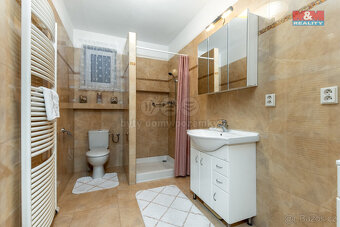 Prodej rodinného domu 6+1, 1388 m², Kounice - 8