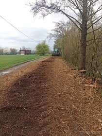 Údržba zeleně, Rekultivace, Drcení lesní frézou - 8