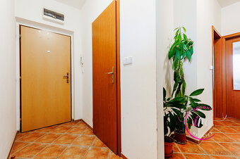 Prodej bytu 2+1 s terasou Jihlava, Chlumova - 8