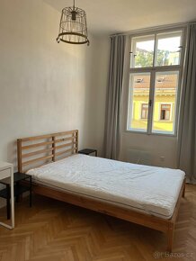Pronájem bytu 2+1, 39 m², ul. Pekařská, Brno-Staré Brno. - 8