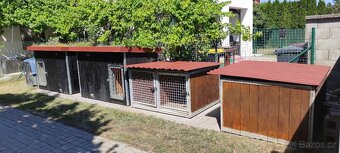 Odkládací dvojbox na psa - 8