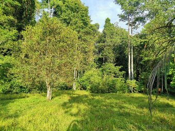 Pozemky a domy Kostarika - 8