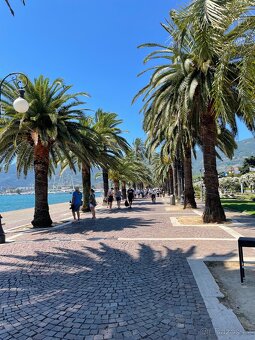 Zámořské plavby: zkušený poradce, rezervujte zde - 8