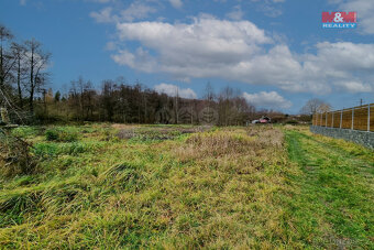 Prodej pozemku k bydlení, 1000 m², Františkovy Lázně - 8