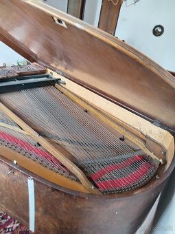 Prodám křídlo R. 1880 - 8