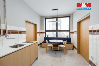 Pronájem multifunkčního objektu 350 m² s pozemkem 1658 m² - 8