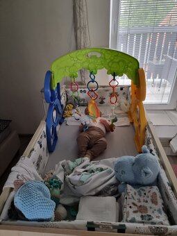 Hrazdička Fisher Price - 8