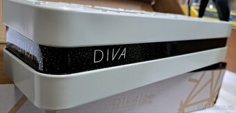 Diva Pro Styling Precious Metals Gold Dust Straightener - 8