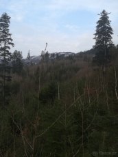 Lesní pozemek 3,4ha, KÚ Frýdlant nad Ostravicí - 8