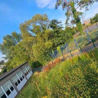 Údržba zeleně - 8