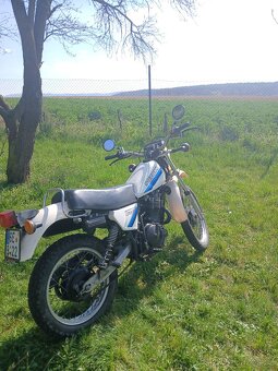 Suzuki DR 500 - 8