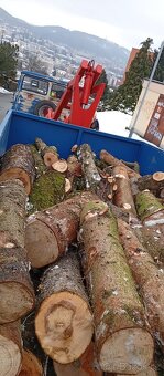 Palivové dřevo - 8