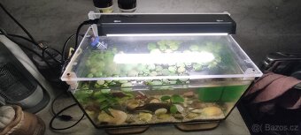 Akvarium s rybkami vybavené 40x20x20 - 8