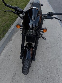 Harley Davidson Street rod 750 - 8