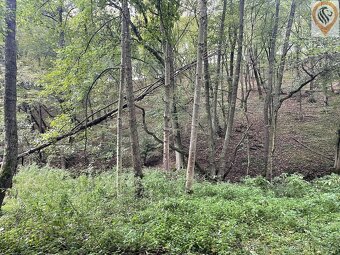 Prodej lesa o výměře 8 326m2 - 8
