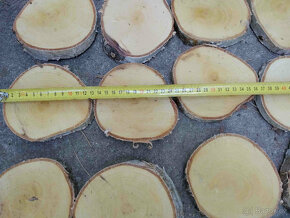 Placky bříza,kolečka a šikmé placky z břízy i jiného dřeva - 8