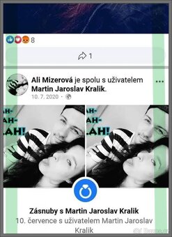 kočka Pardubice - 8