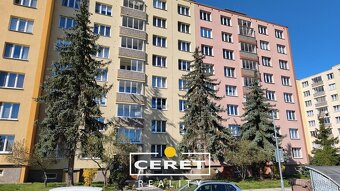 Nájem bytu 1+1 Žatec - 8