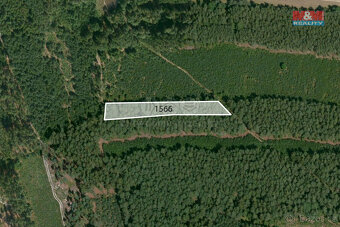Prodej lesa, 33090 m², Rybnice - 8