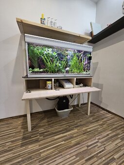 Akvárium Aquatlantis - 8