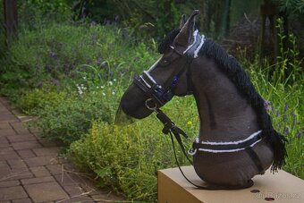 Luxusní hobby horse na prodej - 8