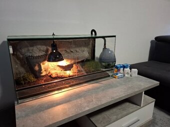 Terárium Indie 80x40x40 cm s 3D pozadím a hlavou Buddhy - 8