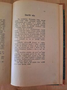 Ze starých Českých Budějovic, vydáno 1921 - 8