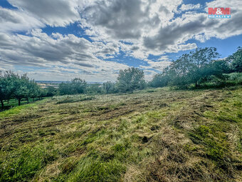 Prodej zahrady, 3500 m², Třebenice - 8
