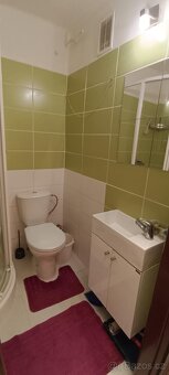 Byt 1+1, 31m2, OV, Slaný, okr. Kladno - 8