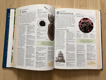 Kniha: Encyklopedie homeopatie - Lockie Andrew - 8