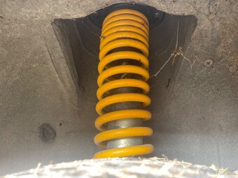 Felicia závodní - 8